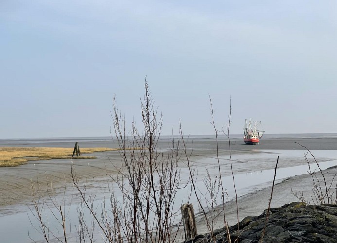 Am Kutterhafen 1 - NORDLIEBE