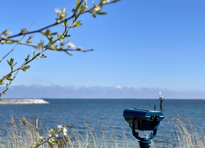 FEHMARN AHOI