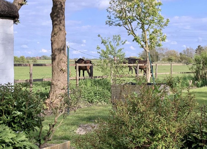 FRIESENKATE AM SEEDEICH