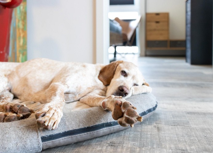 Küste33-42 -  LOFT CORNER