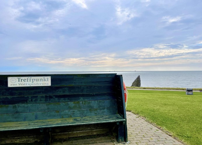Ferienwohnung REETKATE AM DEICH 1 - Nordsee - Wattwanderung