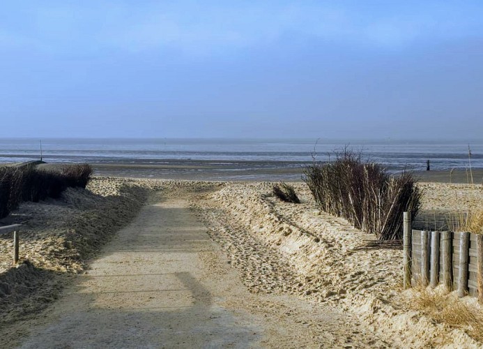 QUARTIER HOHE GEEST 12