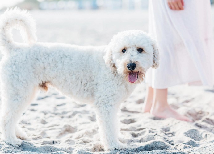 Kellenhusen Tor 20 - STRANDQUARTIER