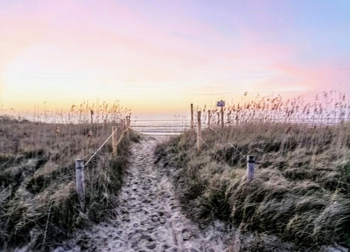 QUARTIER HOHE GEEST 12