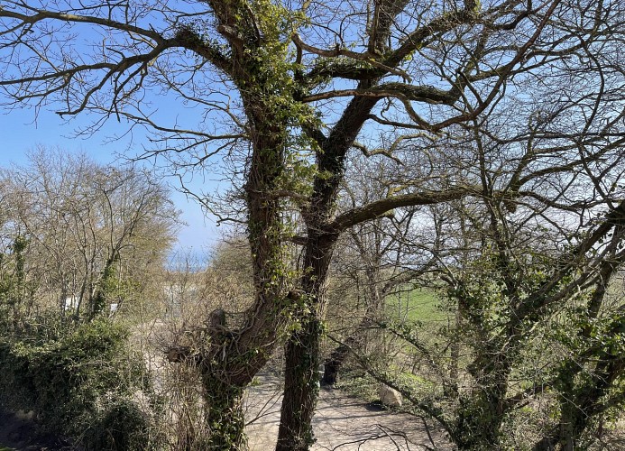 AM DAHMER LEUCHTTURM 23F