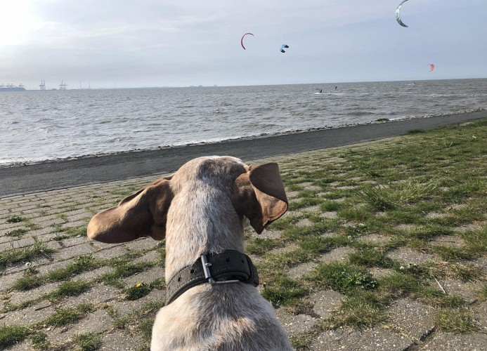 Küste33-42 -  LOFT CORNER