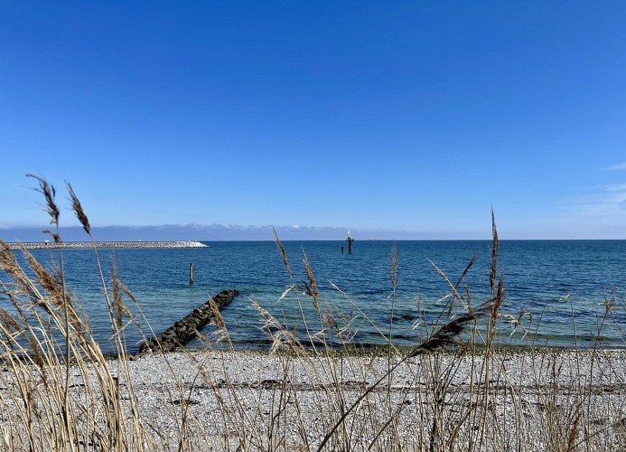 FEHMARN AHOI