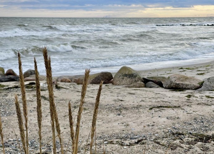 DAHMER STRAND No13