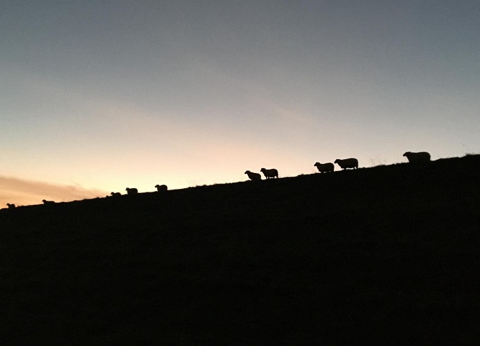 NordseeResort Tossens - SEASIDE CORNER
