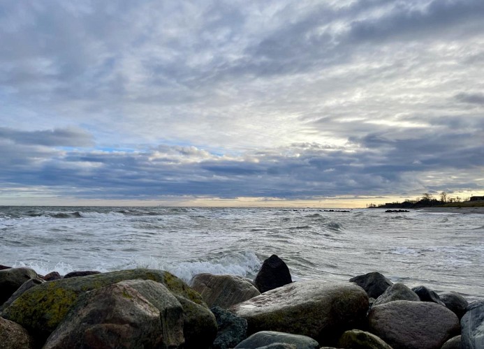 DAHMER STRAND No13