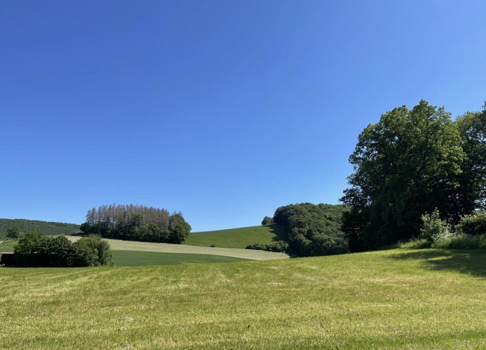 Sonnenweg 46 - CARLA