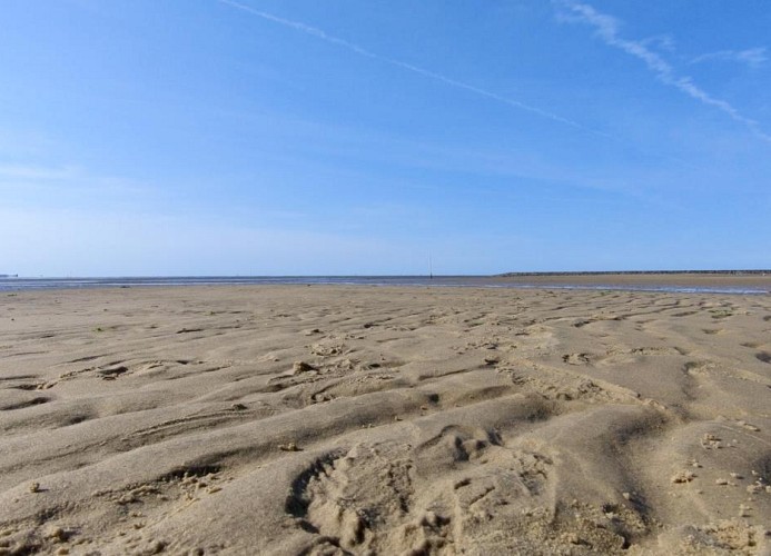 QUARTIER HOHE GEEST 19