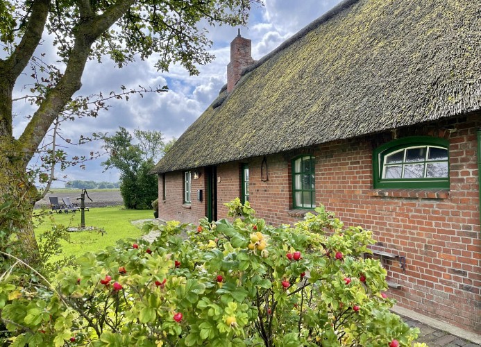 REETDACHKATE HILLGROVEN