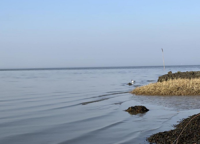 Am Kutterhafen 15 - HAUS AM MEER