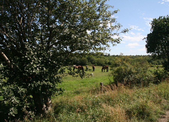 QUARTIER HOHE GEEST 2