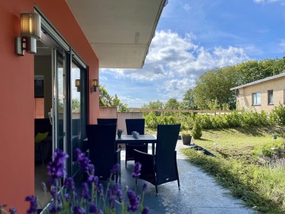 Amselresidenz 1 - Amsel - Bild 1