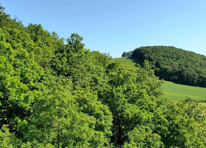 Sonnenweg 46 - CARLA