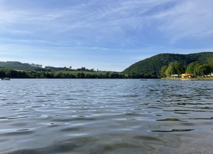 BLICK 20