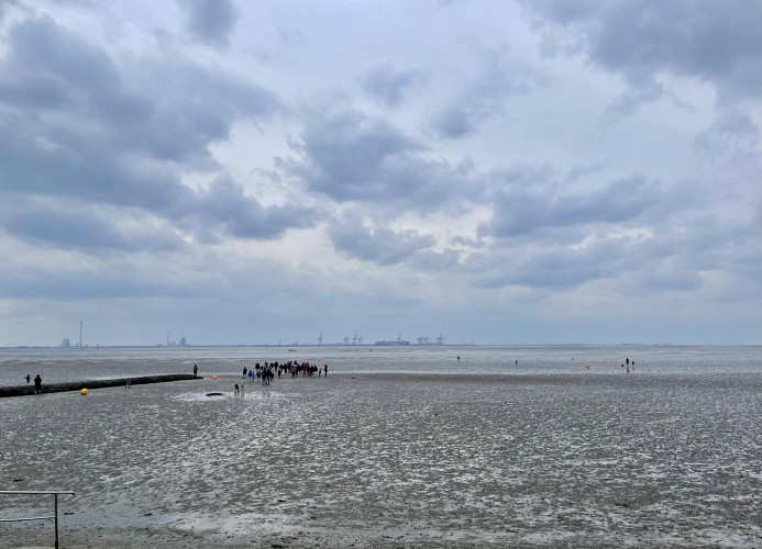 Küste33-15 - STRANDNEST