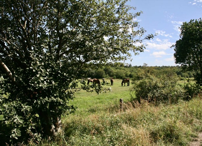 QUARTIER HOHE GEEST 14