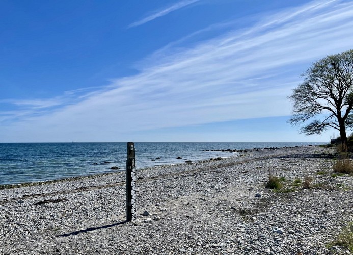 FEHMARN AHOI