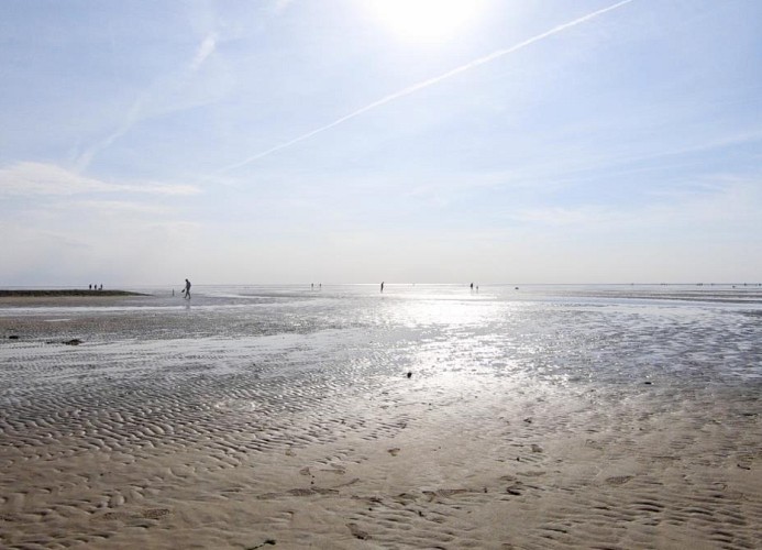 QUARTIER HOHE GEEST 19