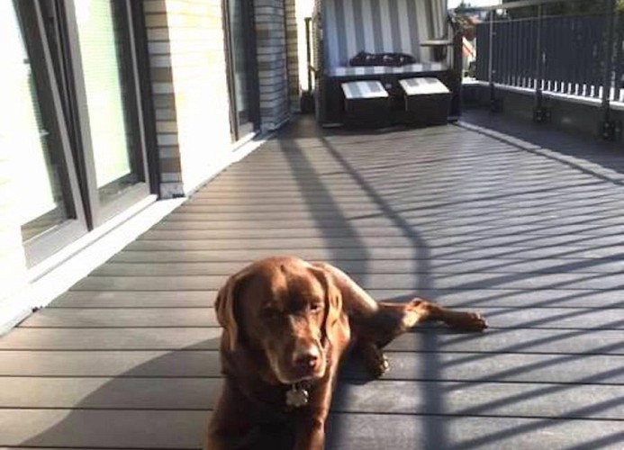 Störtebeker 7 - STRANDKORB