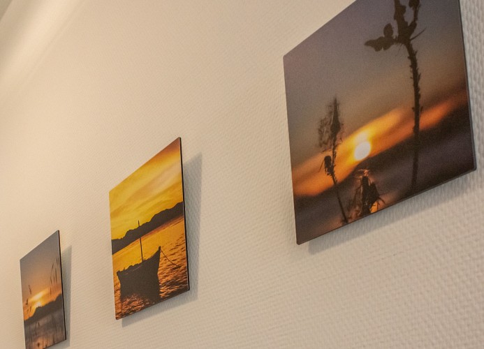 Neue Liebe Haffkrug 5 - MEERESSTERN