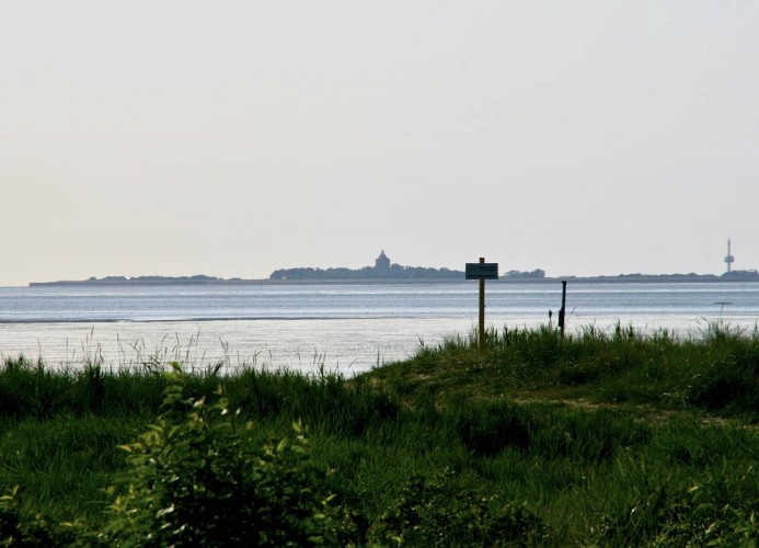 QUARTIER HOHE GEEST 19